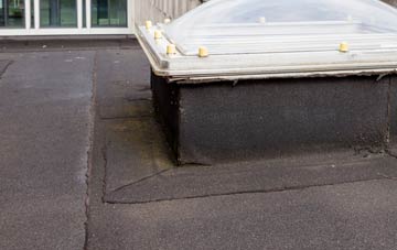 disadvantages of Newgale flat roofs