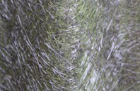 Newgale fibreglass roof work