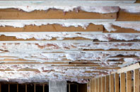 compare flat roofing insulation costs