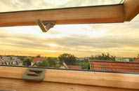 rated Newgale roof window companies